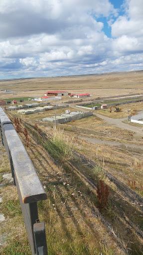 Fotografía 5 de Camping Municipal Cerro Sombrero en Primavera, Magallanes
