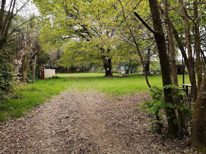 Fotografía 4 de Camping LA RUCA en Valdivia, Los Rios