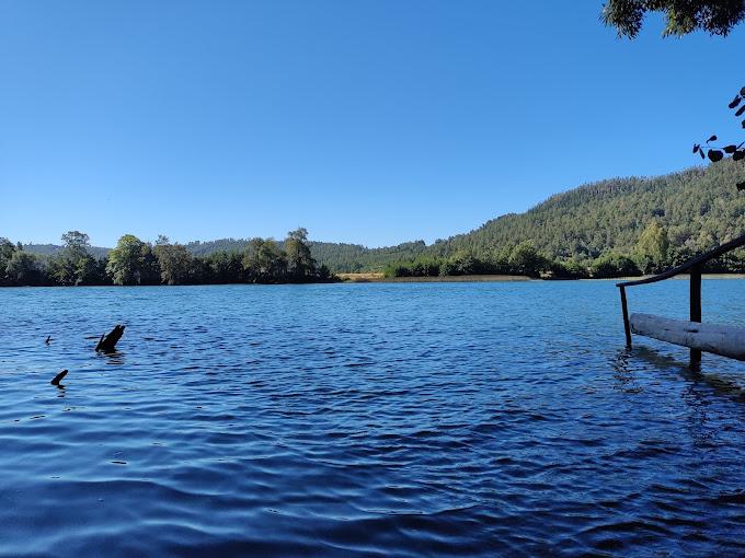 Fotografía 8 de Camping LA RUCA en Valdivia, Los Rios