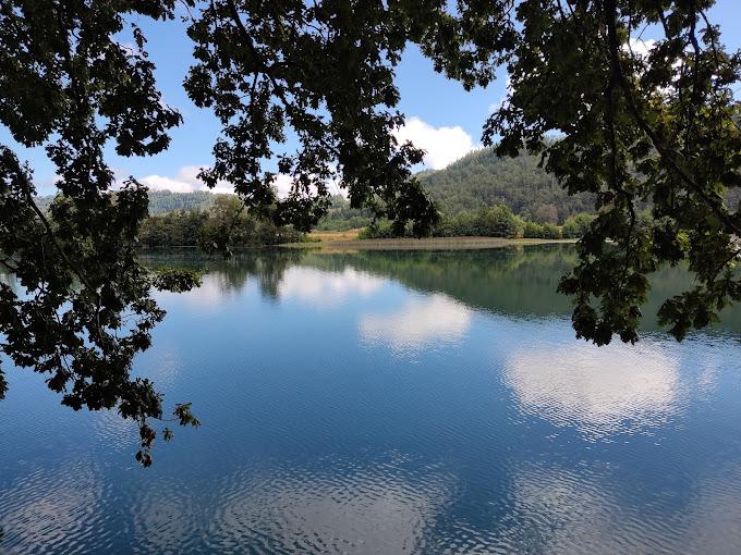 Fotografía 9 de Camping LA RUCA en Valdivia, Los Rios