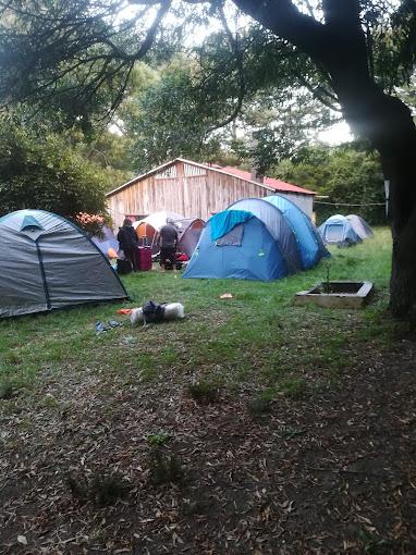 Fotografía 18 de Camping LA RUCA en Valdivia, Los Rios