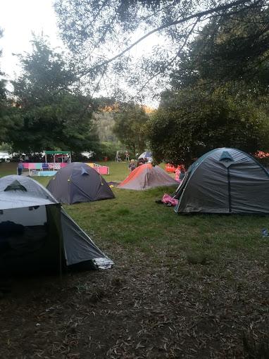 Fotografía 19 de Camping LA RUCA en Valdivia, Los Rios