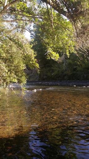 Fotografía 6 de Camping Los Arrayanes en Victoria, Araucania