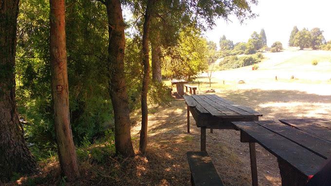 Fotografía 7 de Camping Los Arrayanes en Victoria, Araucania