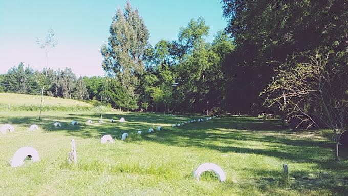 Fotografía 8 de Camping Los Arrayanes en Victoria, Araucania
