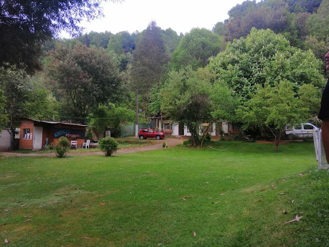 Fotografía 10 de Parque Nativo Bajo Mininco en Quilaco, Bio Bio