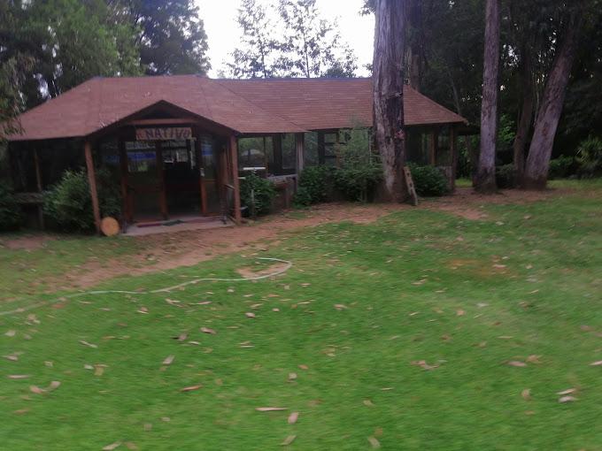 Fotografía 8 de Parque Nativo Bajo Mininco en Quilaco, Bio Bio