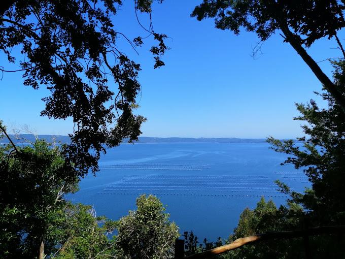 Fotografía 10 de Camping en Chile Detif - Chiloé en Puqueldon, Los Lagos