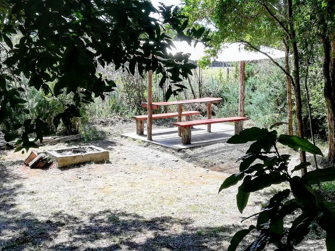 Fotografía 2 de Camping Y Cabañas La Vega en Queilen, Los Lagos