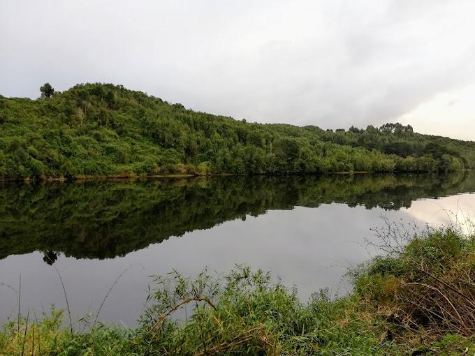 Fotografía 4 de Camping Y Cabañas La Vega en Queilen, Los Lagos