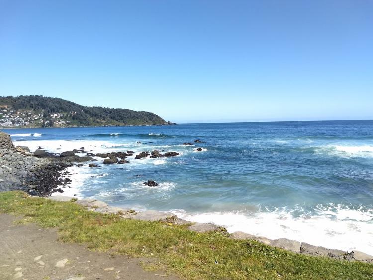 Fotografía 9 de Camping Friendship Bahia Mansa San Juan de La Costa en San Juan De La Costa, Los Lagos