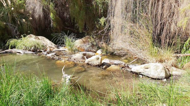 Fotografía 10 de Camping La Chakra en Paihuano, Coquimbo