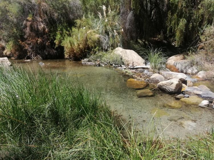 Fotografía 11 de Camping La Chakra en Paihuano, Coquimbo