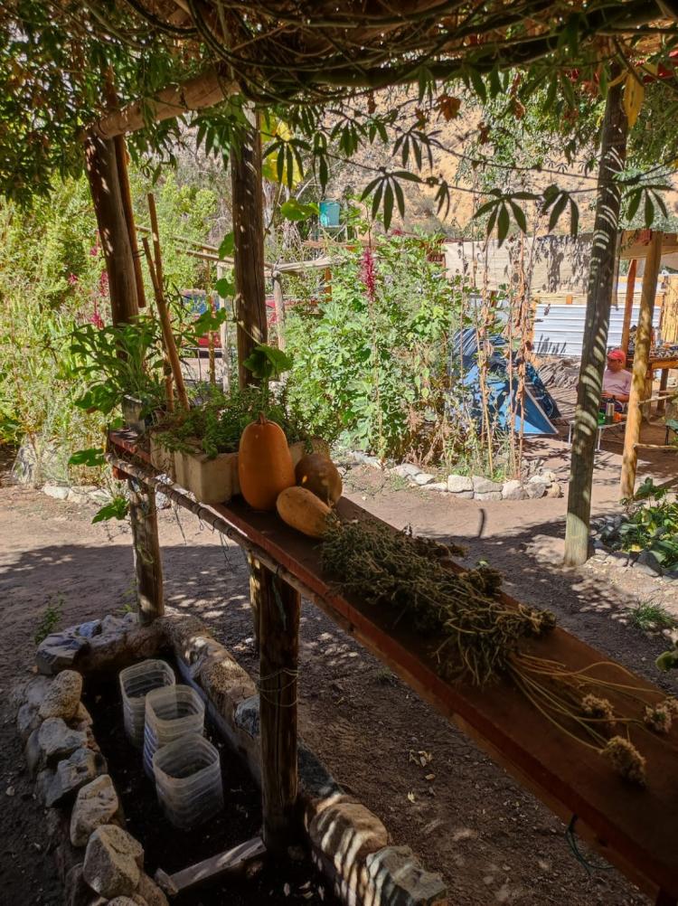 Fotografía 12 de Camping La Chakra en Paihuano, Coquimbo