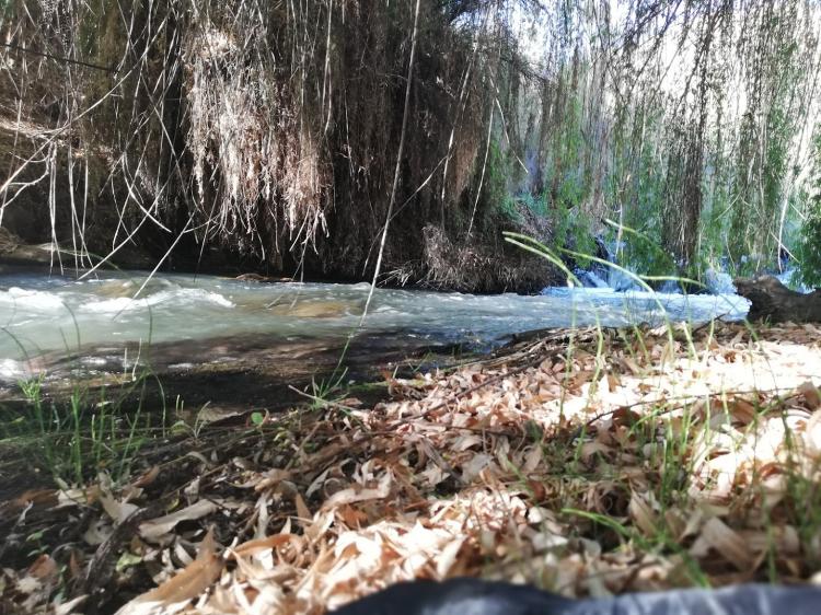 Fotografía 16 de Camping La Chakra en Paihuano, Coquimbo
