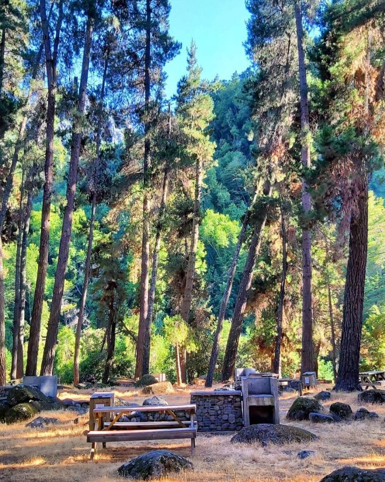 Fotografía 13 de Camping El Bosque - Sector El Radal en Maule, Maule