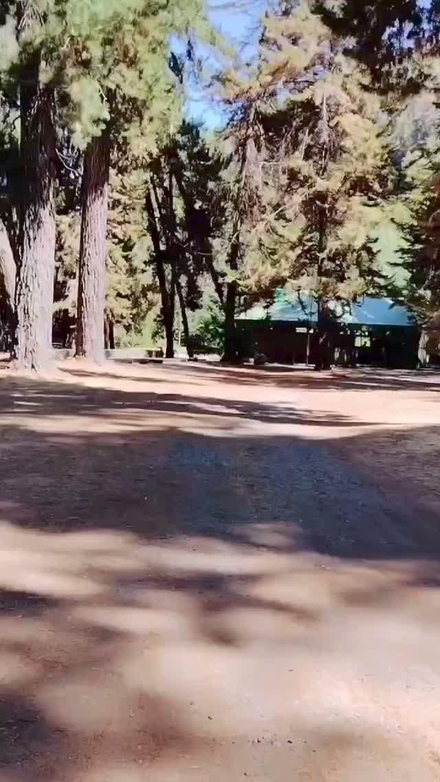 Fotografía 18 de Camping El Bosque - Sector El Radal en Maule, Maule
