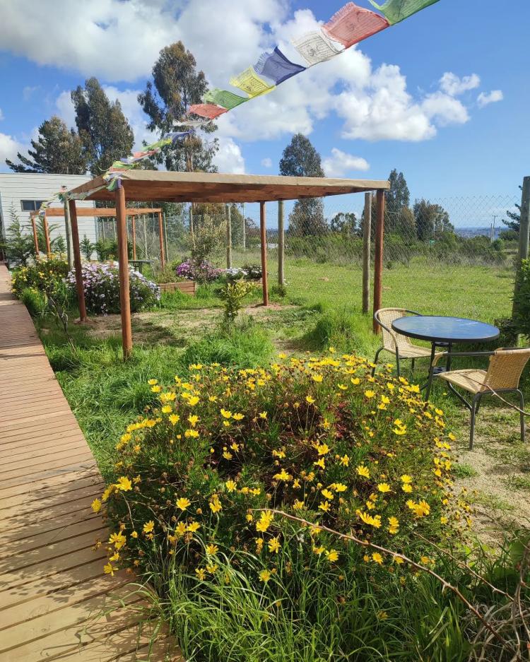 Fotografía 13 de La Tribu Ecolodge & Camping en Algarrobo, Valparaiso
