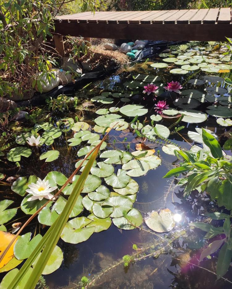 Fotografía 14 de La Tribu Ecolodge & Camping en Algarrobo, Valparaiso
