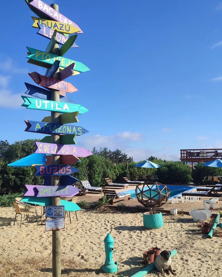 Fotografía 17 de La Tribu Ecolodge & Camping en Algarrobo, Valparaiso