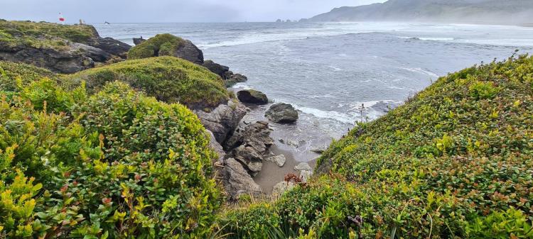 Fotografía 2 de Camping Lugar De Encuentro en Ancud, Los Lagos