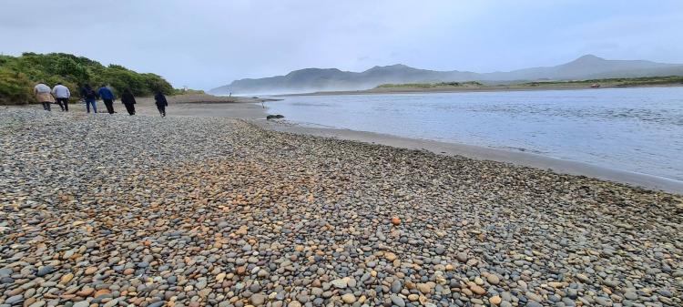 Fotografía 3 de Camping Lugar De Encuentro en Ancud, Los Lagos