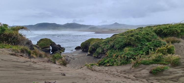 Fotografía 4 de Camping Lugar De Encuentro en Ancud, Los Lagos