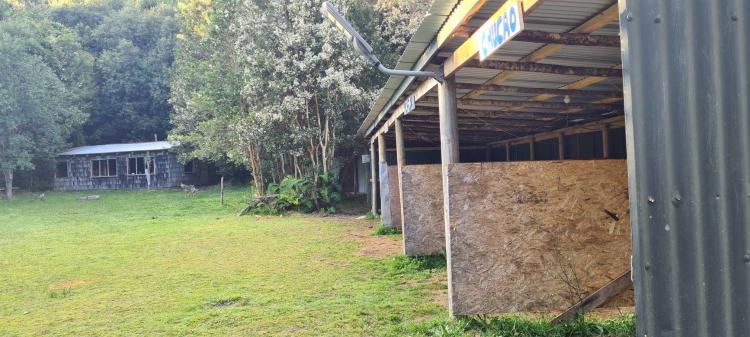 Fotografía 6 de Camping Lugar De Encuentro en Ancud, Los Lagos