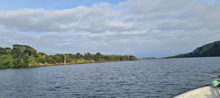 Fotografía 11 de Camping Lugar De Encuentro en Ancud, Los Lagos