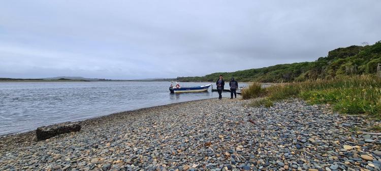 Fotografía 9 de Camping Lugar De Encuentro en Ancud, Los Lagos