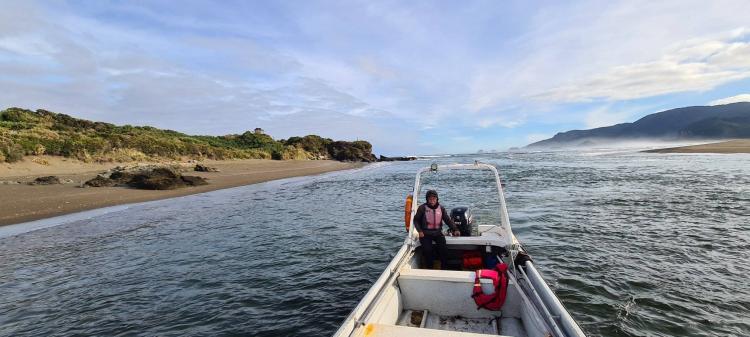 Camping Lugar De Encuentro en Ancud, Los Lagos