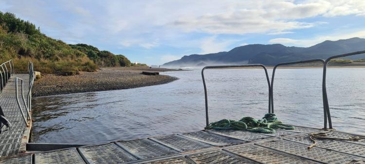 Fotografía 14 de Camping Lugar De Encuentro en Ancud, Los Lagos