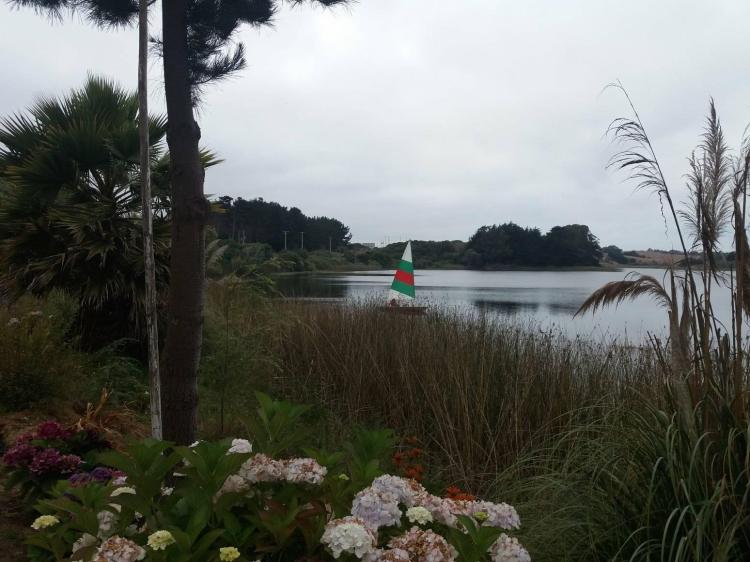 Fotografía 12 de Camping Laguna Del Perro - Camino a Cáhuil en Pichilemu, Ohiggins