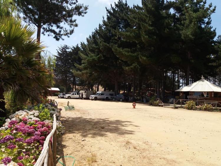 Fotografía 13 de Camping Laguna Del Perro - Camino a Cáhuil en Pichilemu, Ohiggins