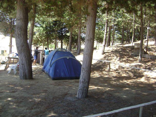 Fotografía 14 de Camping Laguna Del Perro - Camino a Cáhuil en Pichilemu, Ohiggins