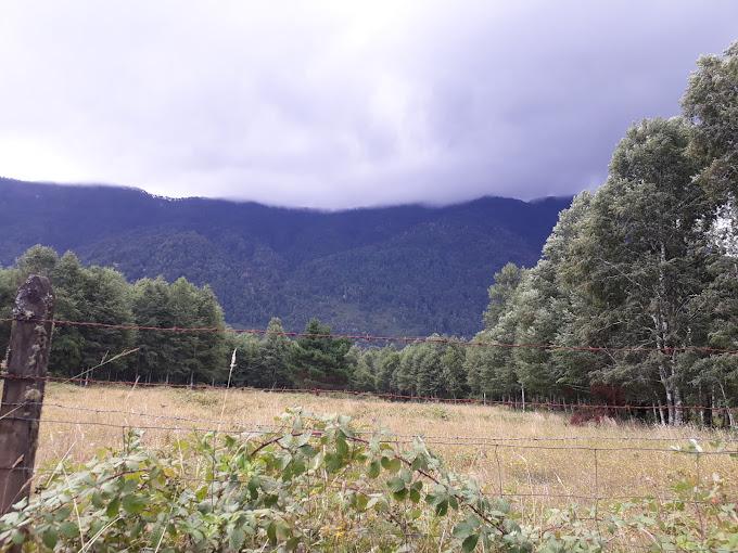 Fotografía 2 de Camping El Manzano en Pucon, Araucania