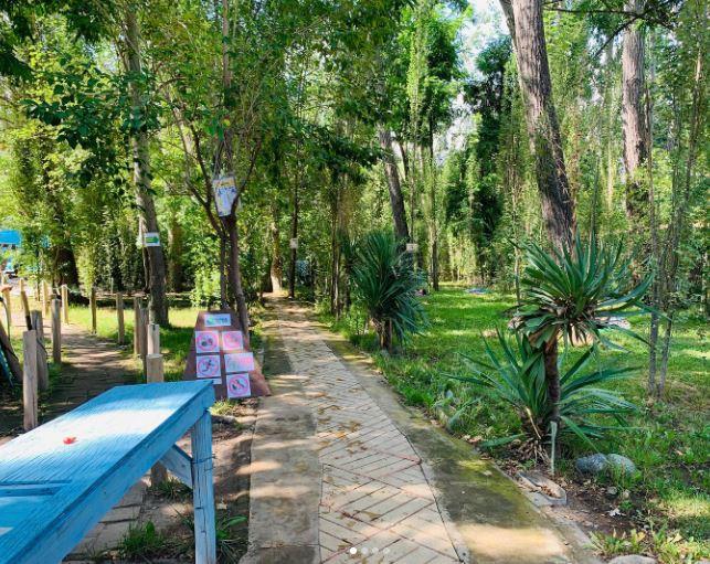 Fotografía 9 de Camping Parque del Rio en Cajon del Maipo, Metropolitana