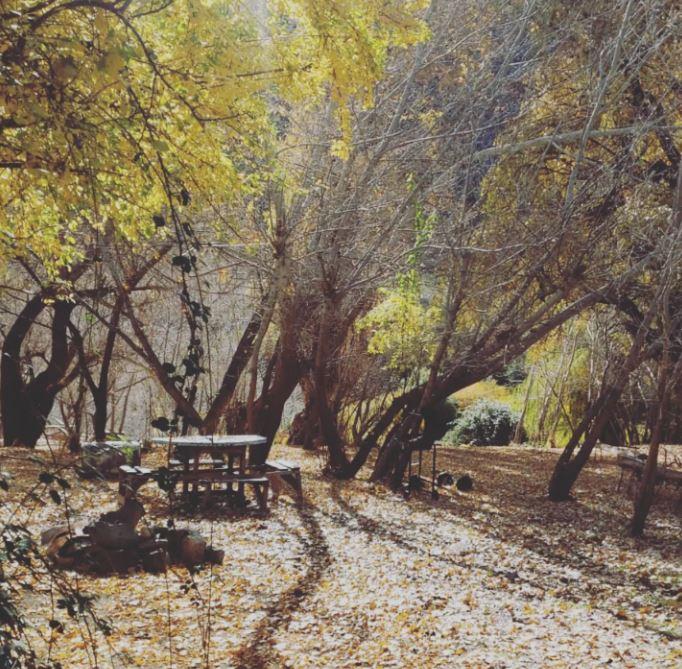 Fotografía 4 de Camping Picnic El Cine en Cajon del Maipo, Metropolitana