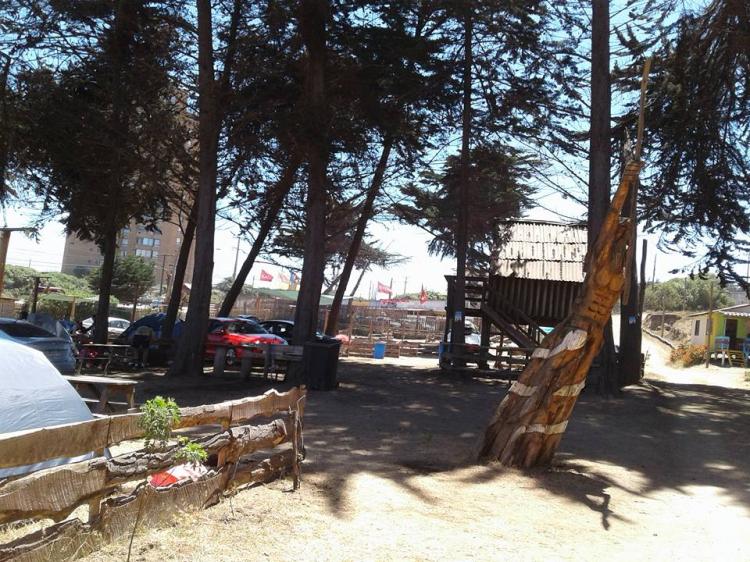Fotografía 8 de Camping El Bosque en El Tabo, Valparaiso