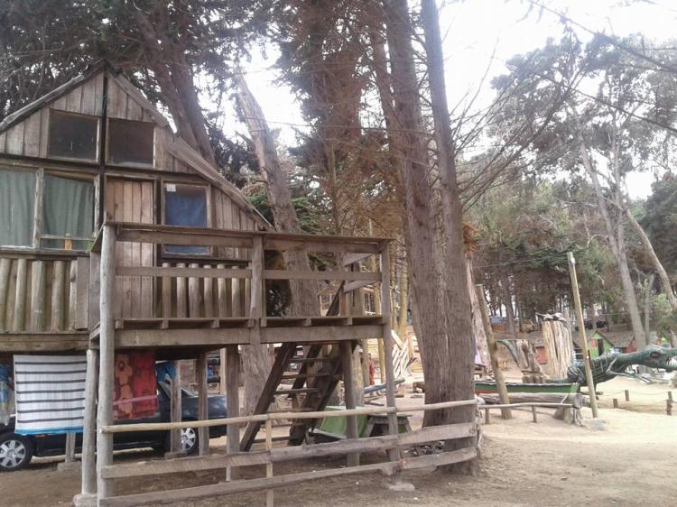 Fotografía 10 de Camping El Bosque en El Tabo, Valparaiso