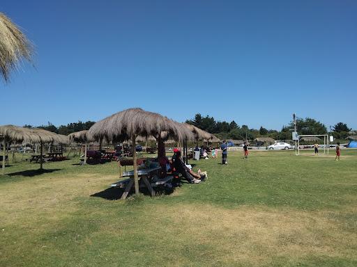 Fotografía 6 de Camping Los Coirones Del Estero en Concon, Valparaiso
