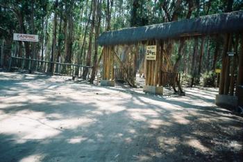 Camping el Bosque de Pichidangui en Coquimbo, Coquimbo