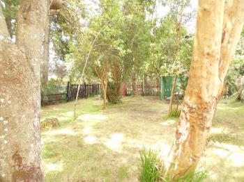 Camping Turismo Montaña en Puerto Varas, Los Lagos