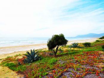 Camping Morrillos en Coquimbo, Coquimbo