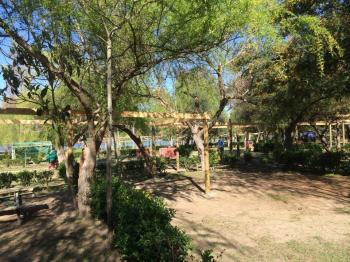 Camping Bello Horizonte en Las Cabras, Ohiggins