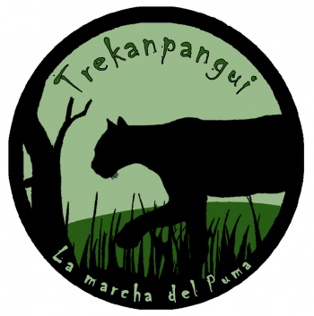 Camping Trekanpangui en Chaiten, Los Lagos