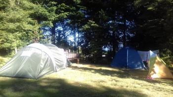 Cabañas y Camping Trinidad en Villarrica, Araucania
