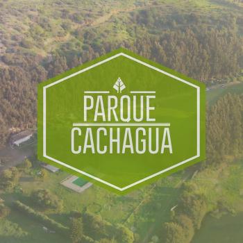 Parque cachagua en Zapallar, Valparaiso