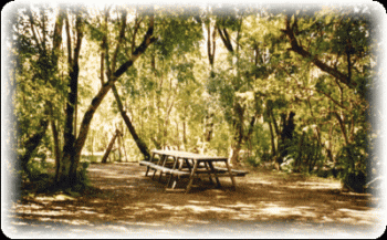 Camping Los Arrayanes del Foresta en Villarrica, Araucania