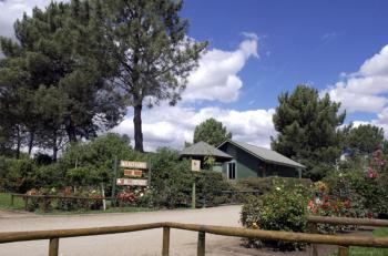 Camping Centro Vacacional Bello Bosque en Quillon, Bio Bio